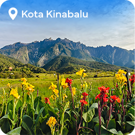 The picture can't be displayed