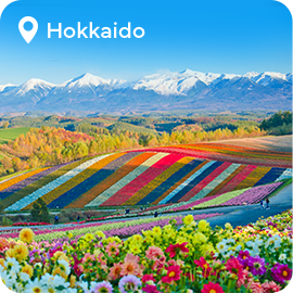 The picture can't be displayed