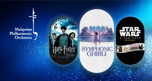 The picture can't be displayed